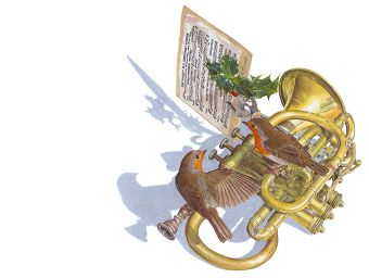 Carols in the Park image