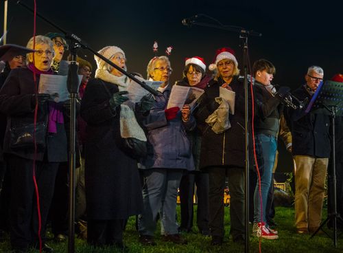 Turning on the Hadleigh Chrstmas Tree gallery image